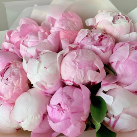 №154 - фото 777flowers