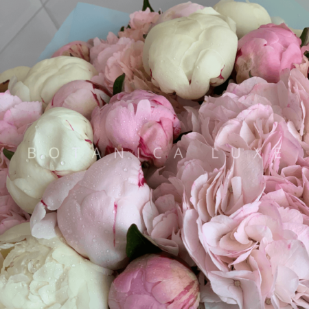 №246 - фото 777flowers