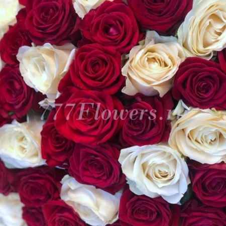 №1127 - Яркий букет из 51 розы - фото 777flowers