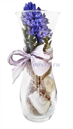 №4010 - Гиацинт в вазе. Коллекции SoLucky - фото 777flowers
