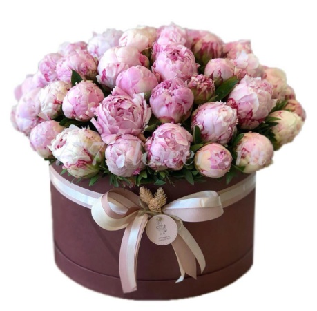 №0820 - Большая шляпная коробка с пионами - фото 777flowers