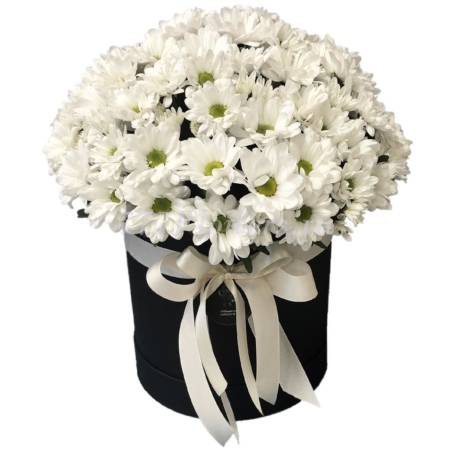 №0520 - Шляпная коробка с кустовыми хризантемами - фото 777flowers
