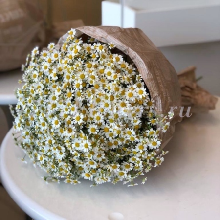 №1088 - Букет из ромашек (25 шт) - фото 777flowers