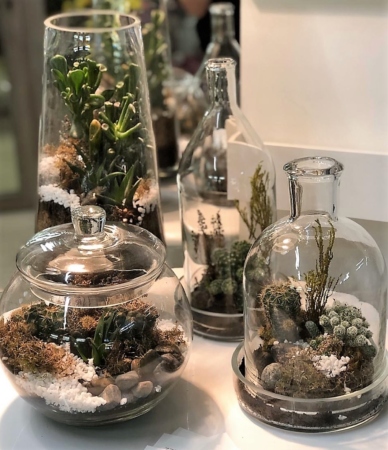 №11113 - Флорариум в ассортименте - фото 777flowers