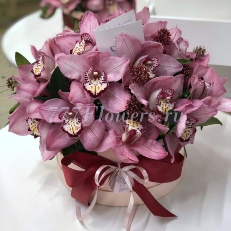 №0837 - Шляпная коробка с розовой орхидеей - фото 777flowers