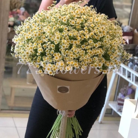 №1124 - Полевой букет из 51 ромашки - фото 777flowers
