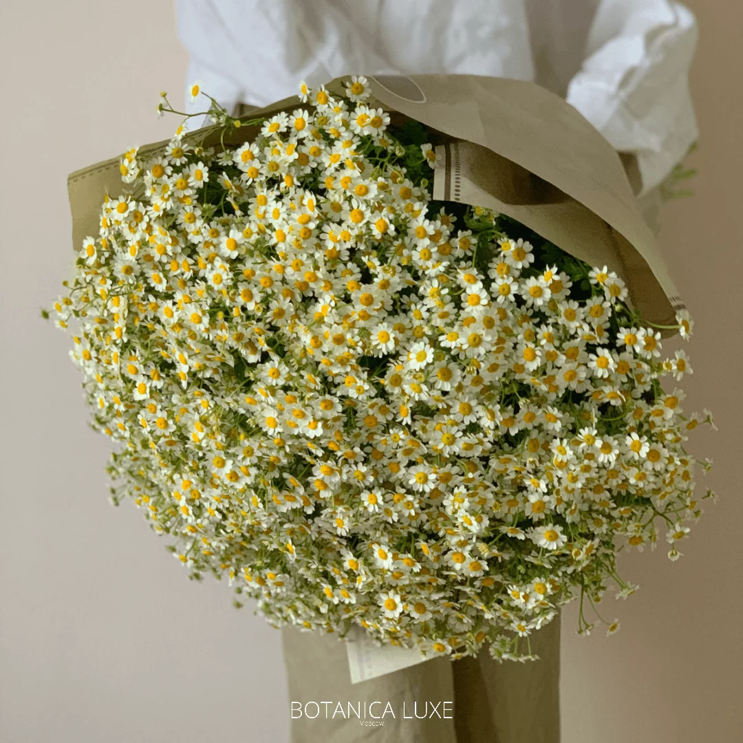 №167 - фото 777flowers