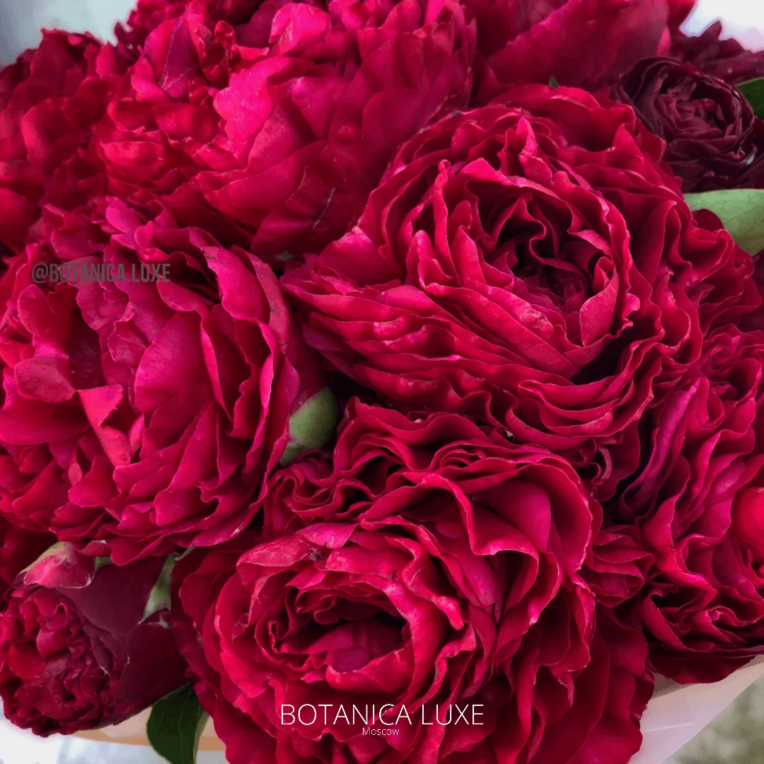 №79 - фото 777flowers