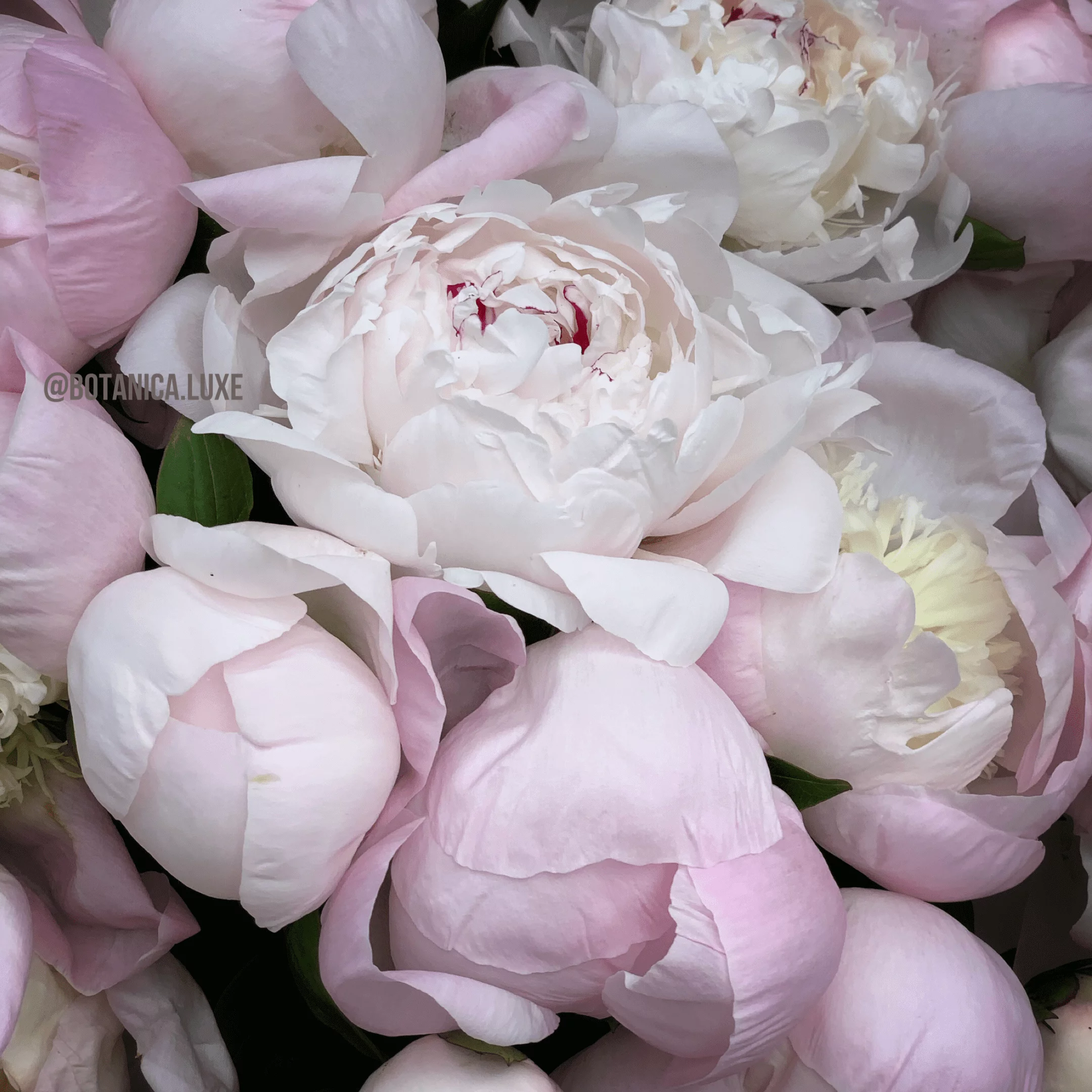 №26 - фото 777flowers